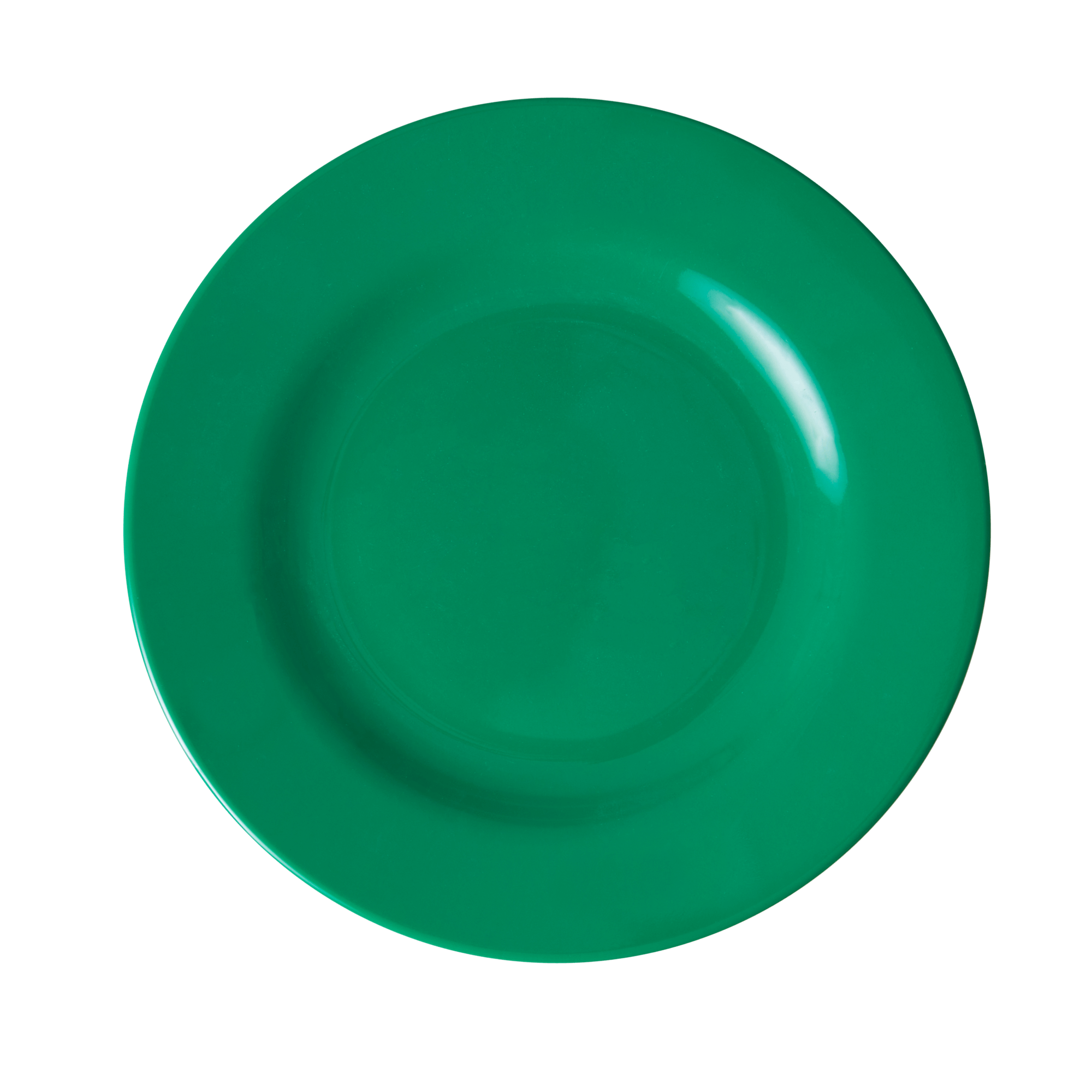 Melamine Lunch Plate | Green