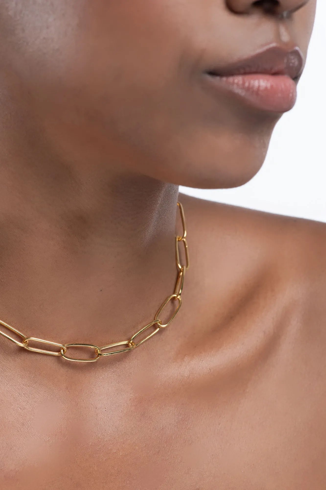 Oval Clip Chain